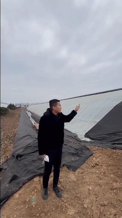 冬暖式大棚,适合北方蔬菜越冬