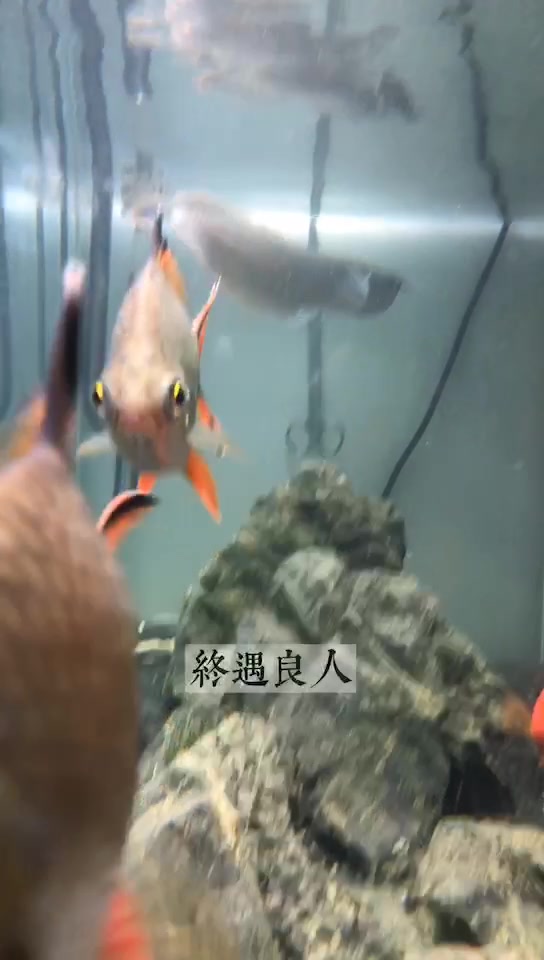 送祝福送快乐祝大家永远健康