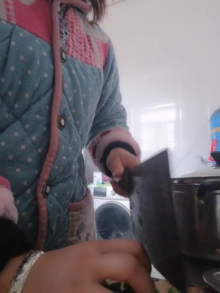 自己做麻辣烫香菜蒜苗