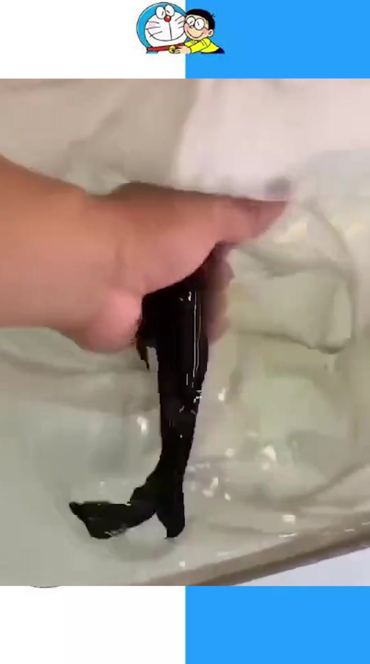 很少见的黑色龙鱼,估计全世界也没有几条,能看见都是缘分啊