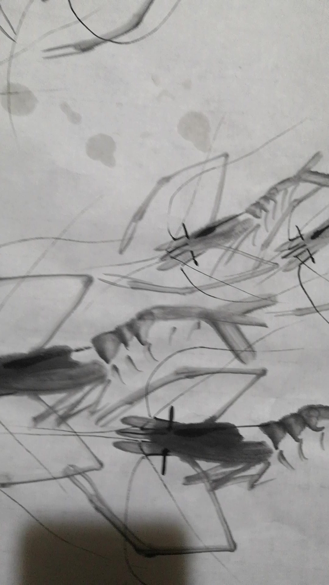 虾帝齐白石虾王郑海荣定制作品23