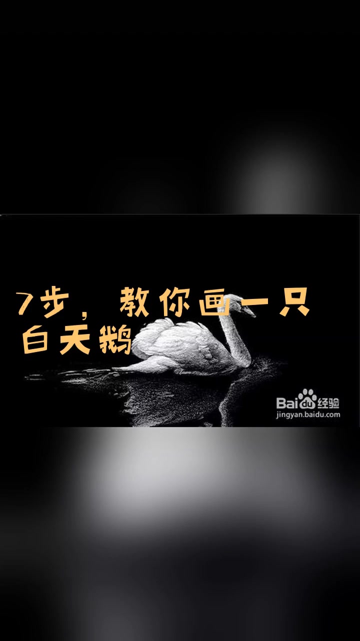 7步,教你画一只白天鹅