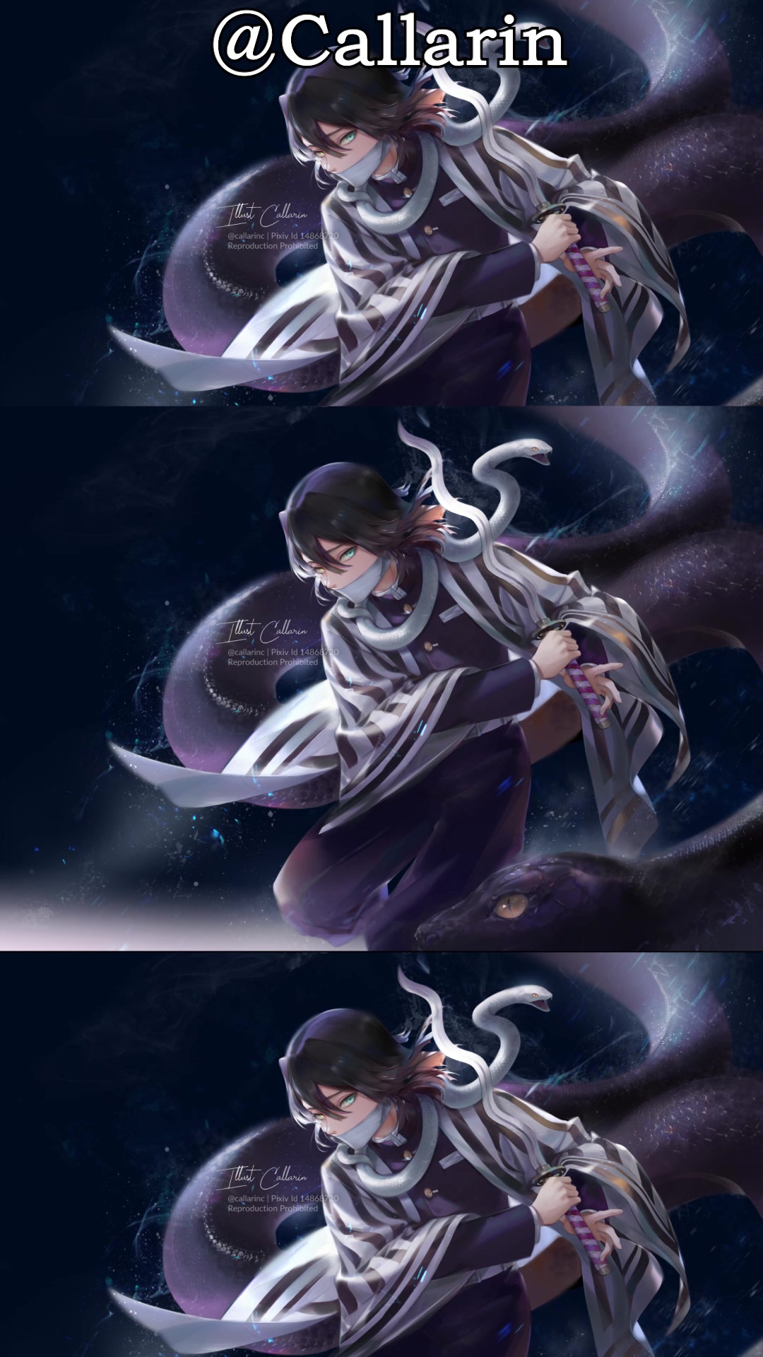 动漫壁纸:集齐九柱能召唤鳄鱼吗?