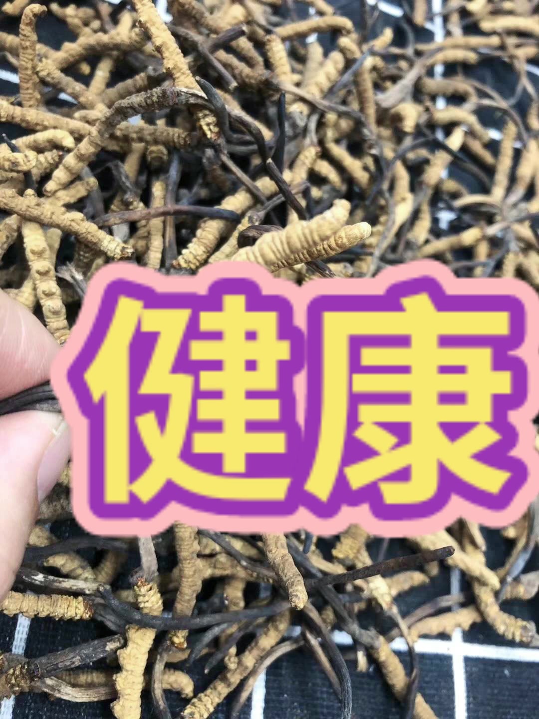 养生炖汤煲汤料秋冬广东汤煲汤材料