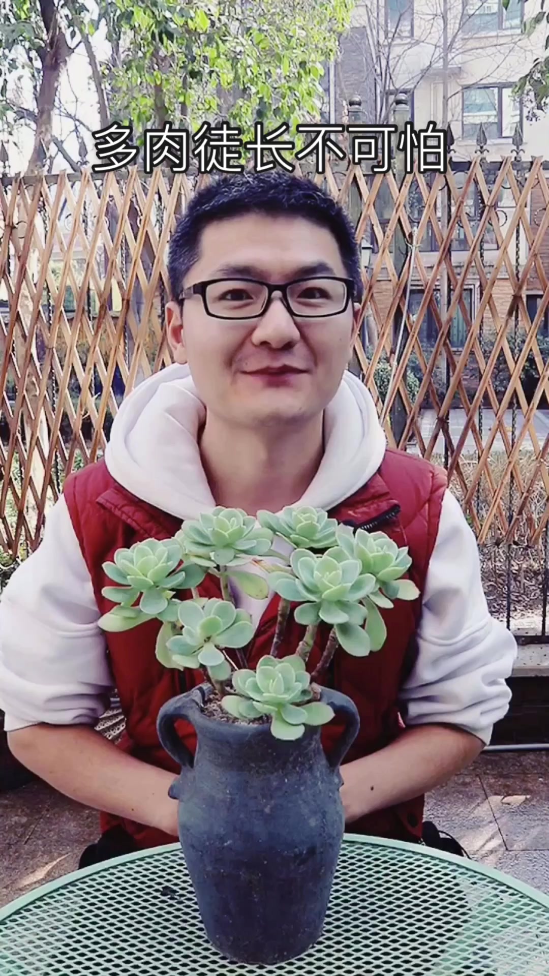 徒长的多肉不要扔!一招变成大老桩