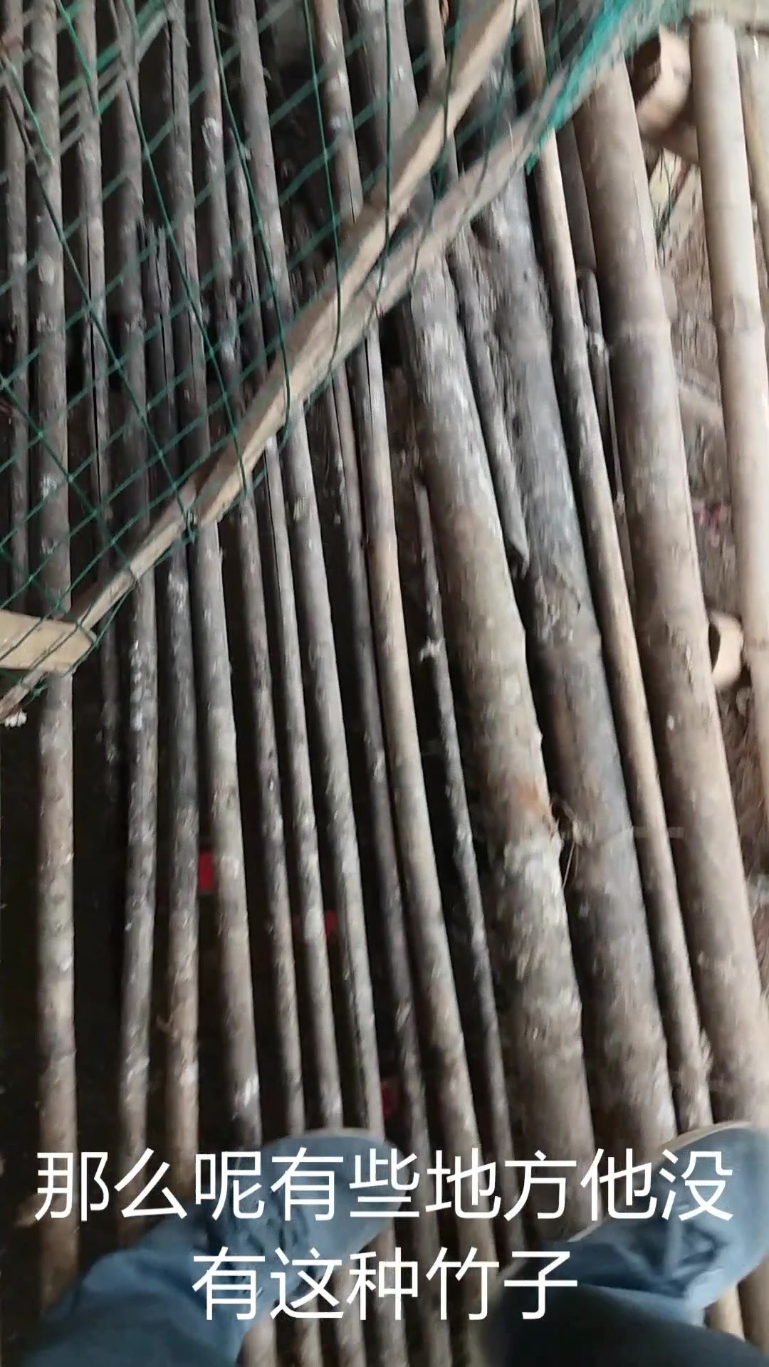 建鸡舍及其没那么复杂,4分钟的视频让你了解鸡舍的建造