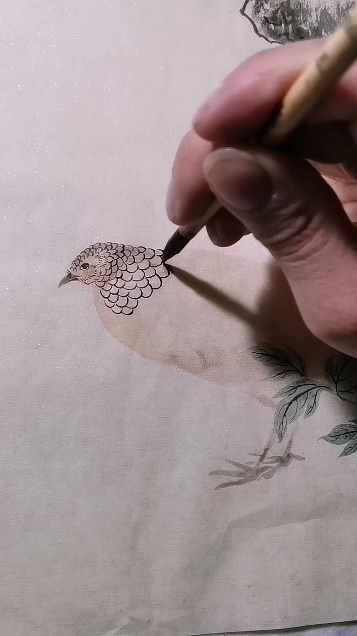 今天画一只小野鸡