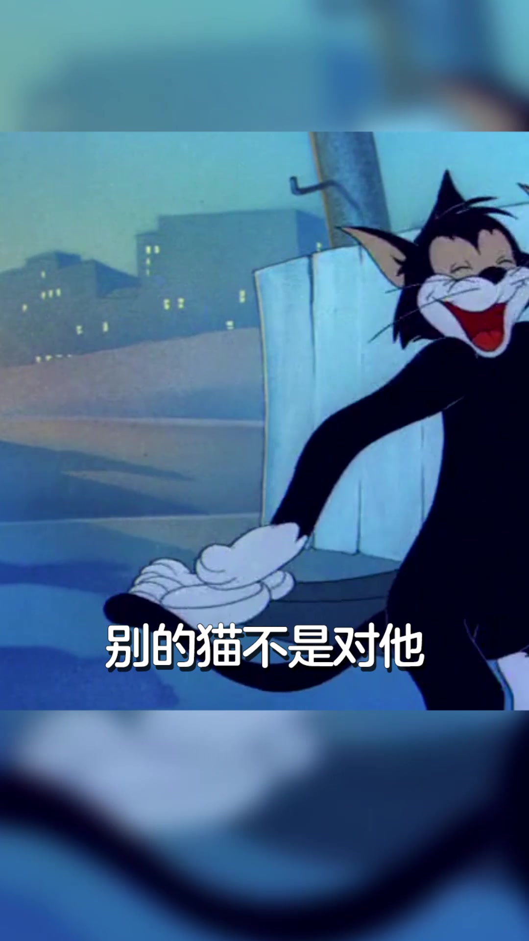 猫和老鼠:你真的了解汤姆吗?