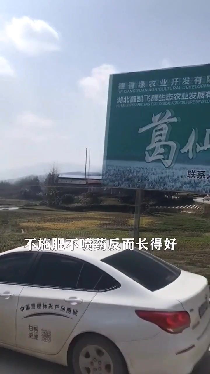 稻田里的黑珍珠,不施肥不喷药反而长得好,1700年前就被食用