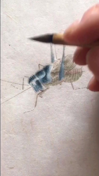 一分钟挑战齐白石NO.5彩蝈蝈