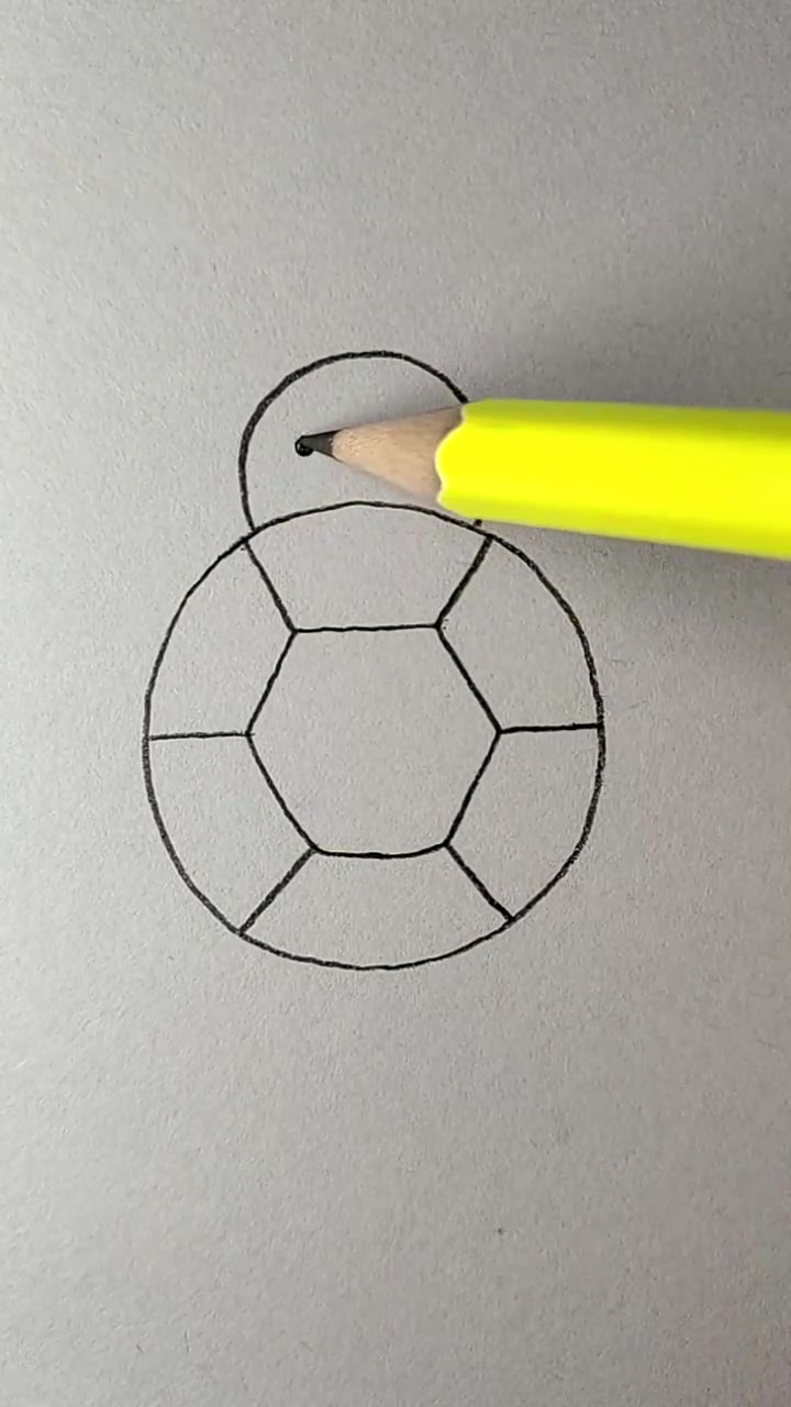 简单又可爱的小乌龟简笔画,简单的几笔,就画好了