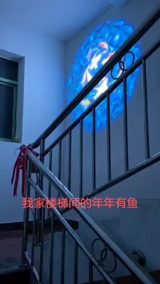 水纹灯配动态游鱼 水中锦鲤 年年有鱼的投影灯 氛围必备