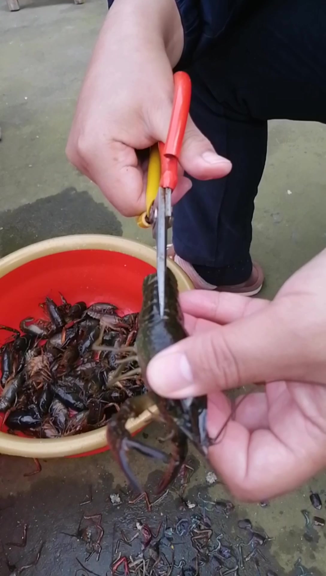 潜江油焖大虾做法