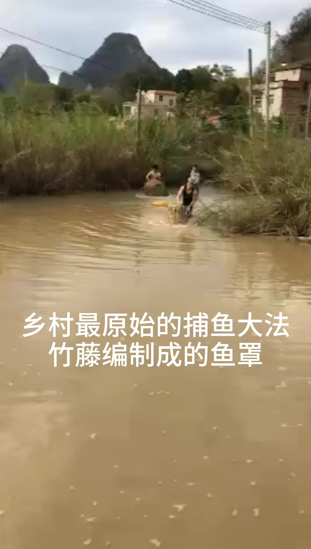 都别拦着我,我要下鱼塘捉鱼玩