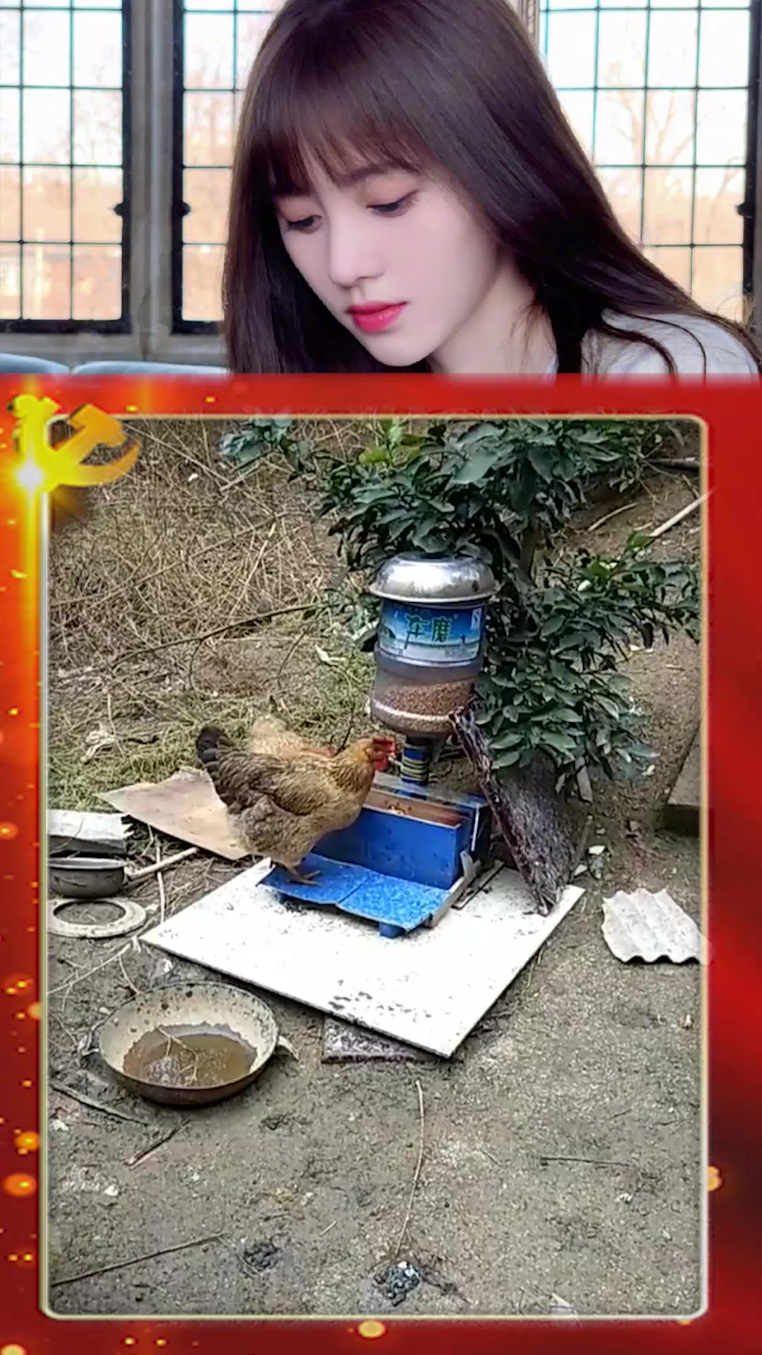 机械化的喂饲料机器,喂鸡变得更加的方便,科技改变了生活!
