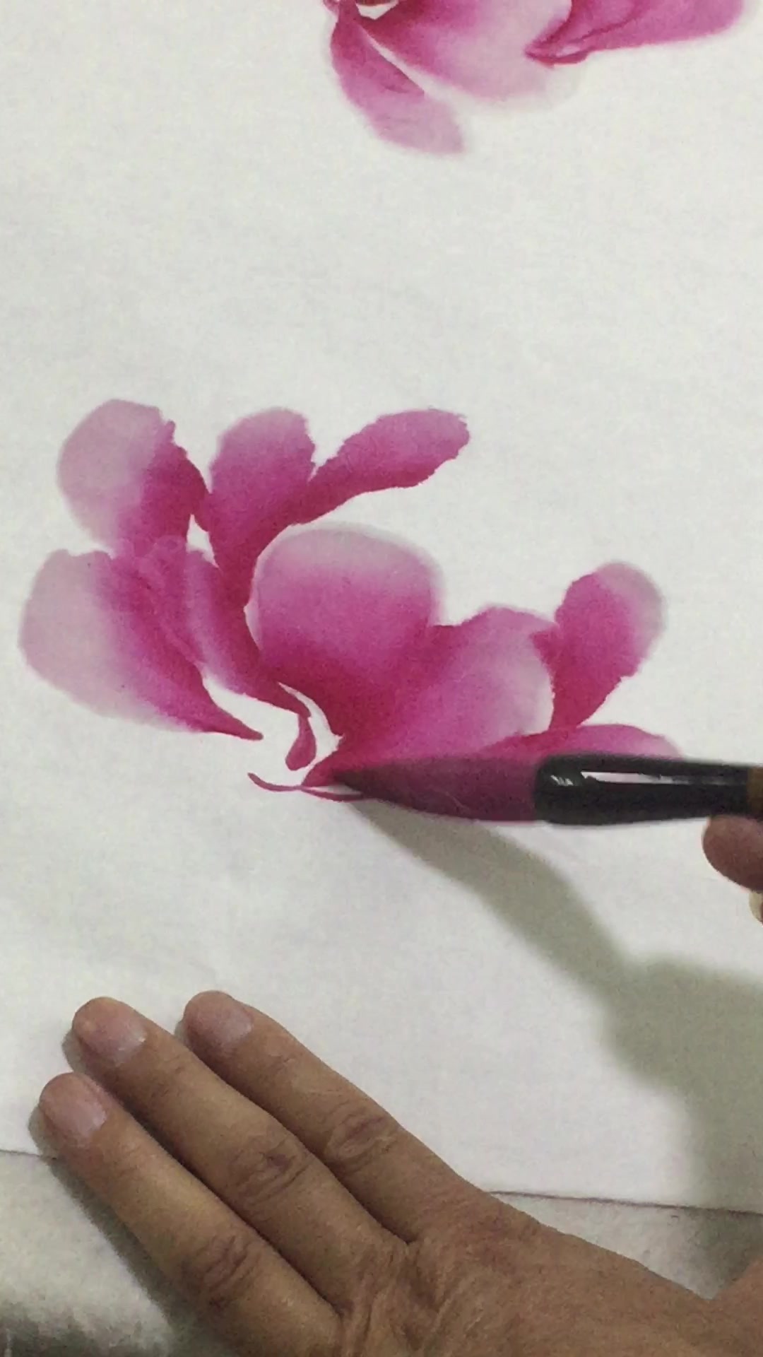 「国画牡丹」零基础-牡丹花苞-画法视频