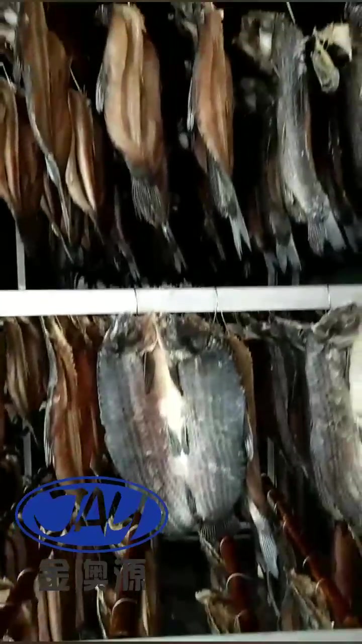 草鱼烘干机物料铺放采用悬挂式还是平铺式?