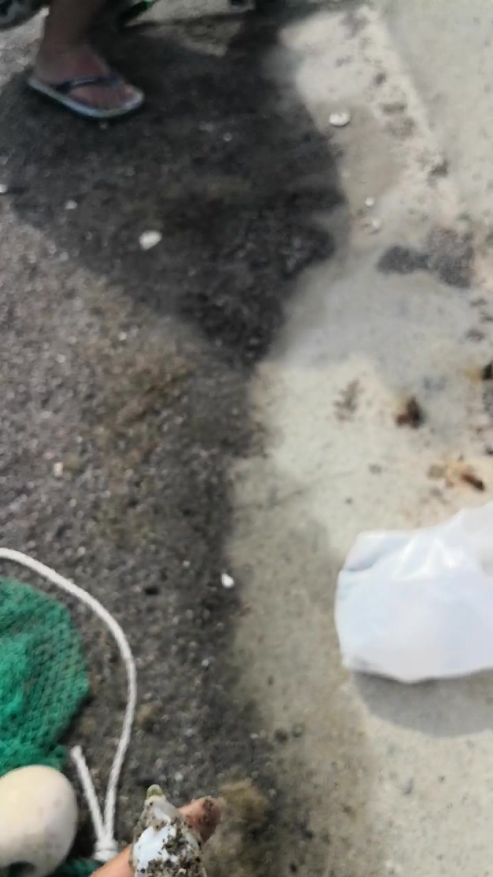 这鱼长得像毒蛇老袋,是三角形的,有认识的吗