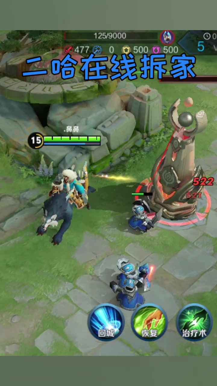 王者荣耀:盘点那些奇奇怪怪的游戏id