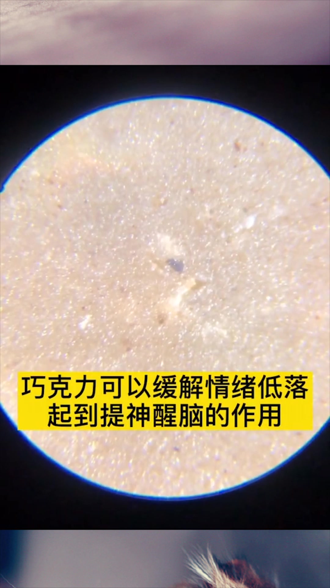 把巧克力拿在显微镜下,放大400倍后,为什么有白色的物质?
