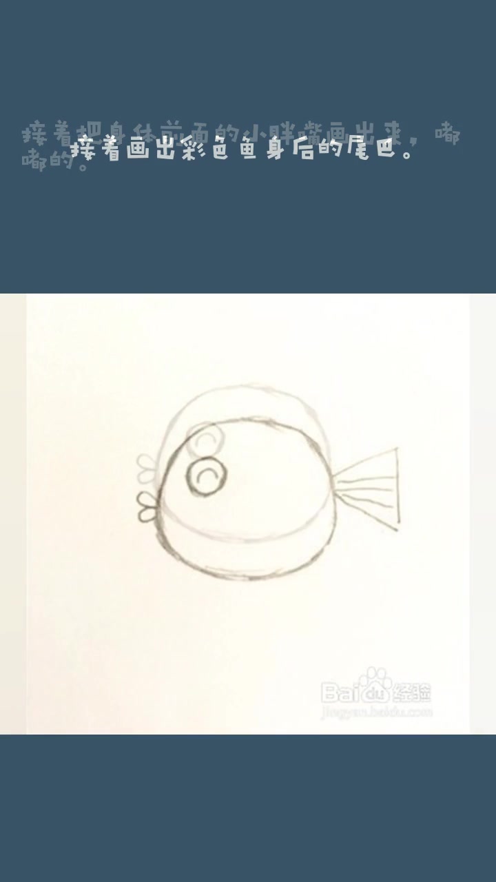 怎么画一条彩色鱼的简笔画?
