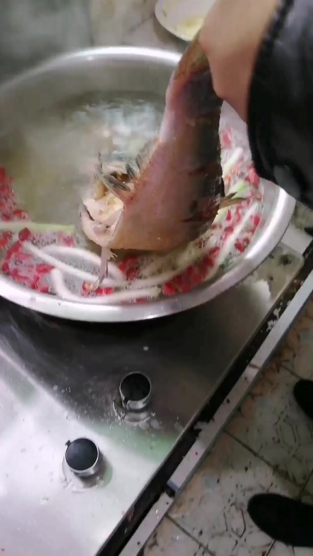 老表儿在乡镇上买的鲢鱼,做道《跳水鱼》,吃起很下饭