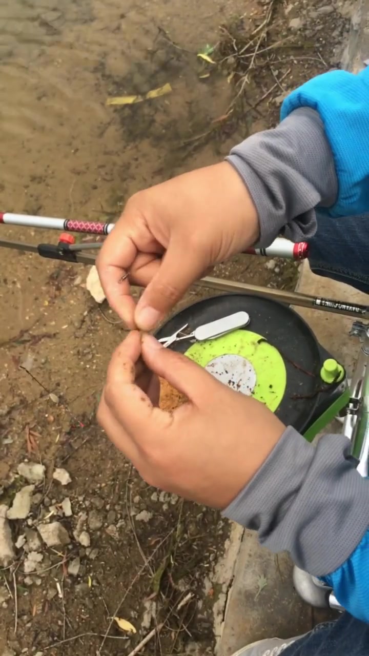 蚯蚓活饵滑又粘,如何能快速挂饵?