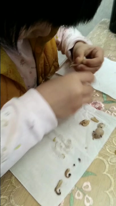 最小医学解剖专家现场解剖小鱿鱼,厉害