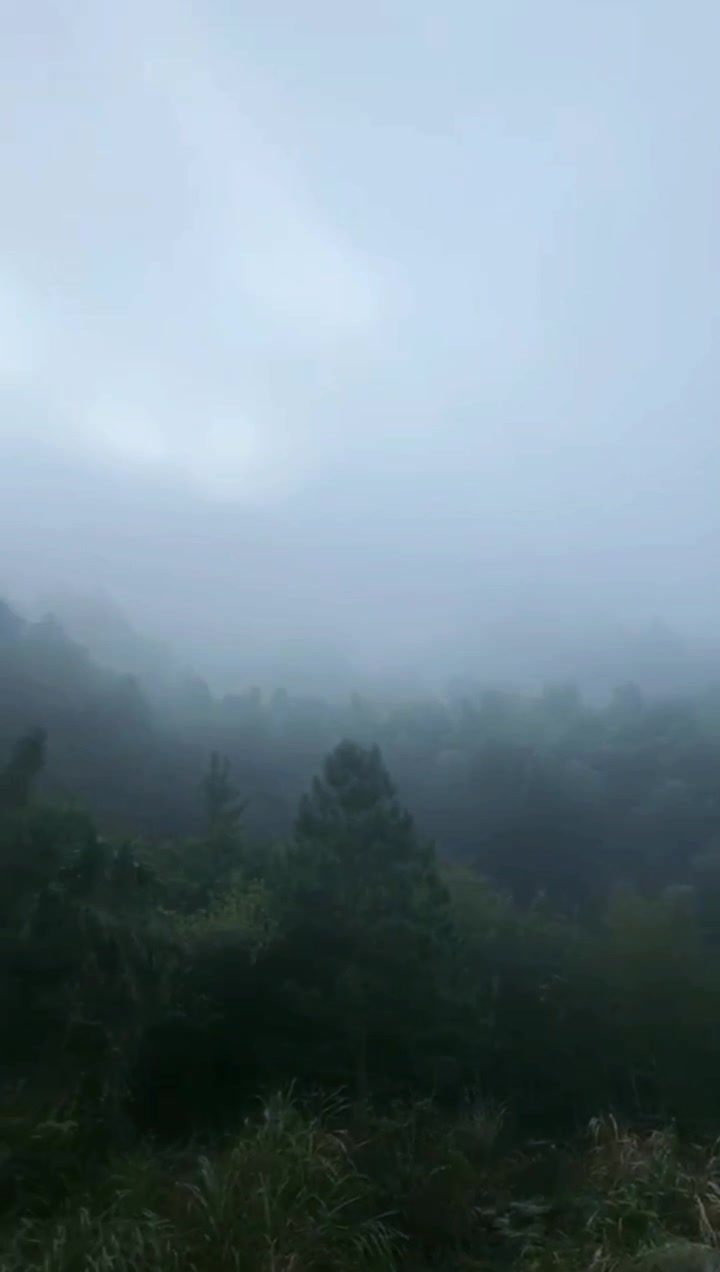 何为爱情,一房二人三餐四季