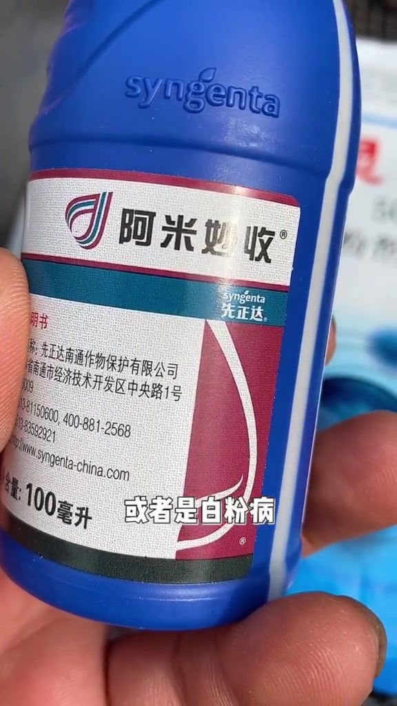 多肉春季得了煤烟病,白粉病怎么治