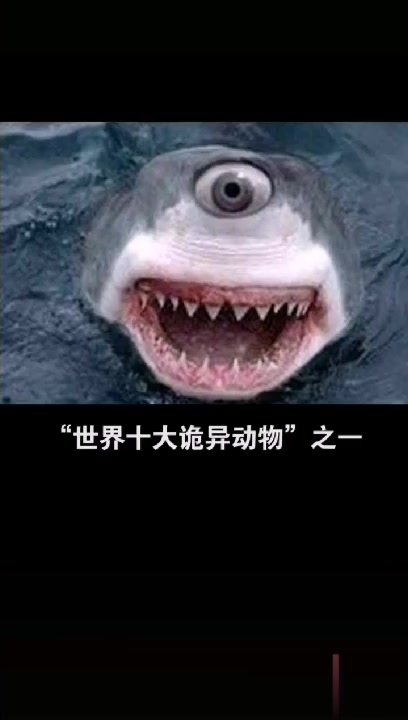 建议改成:深海独眼仔