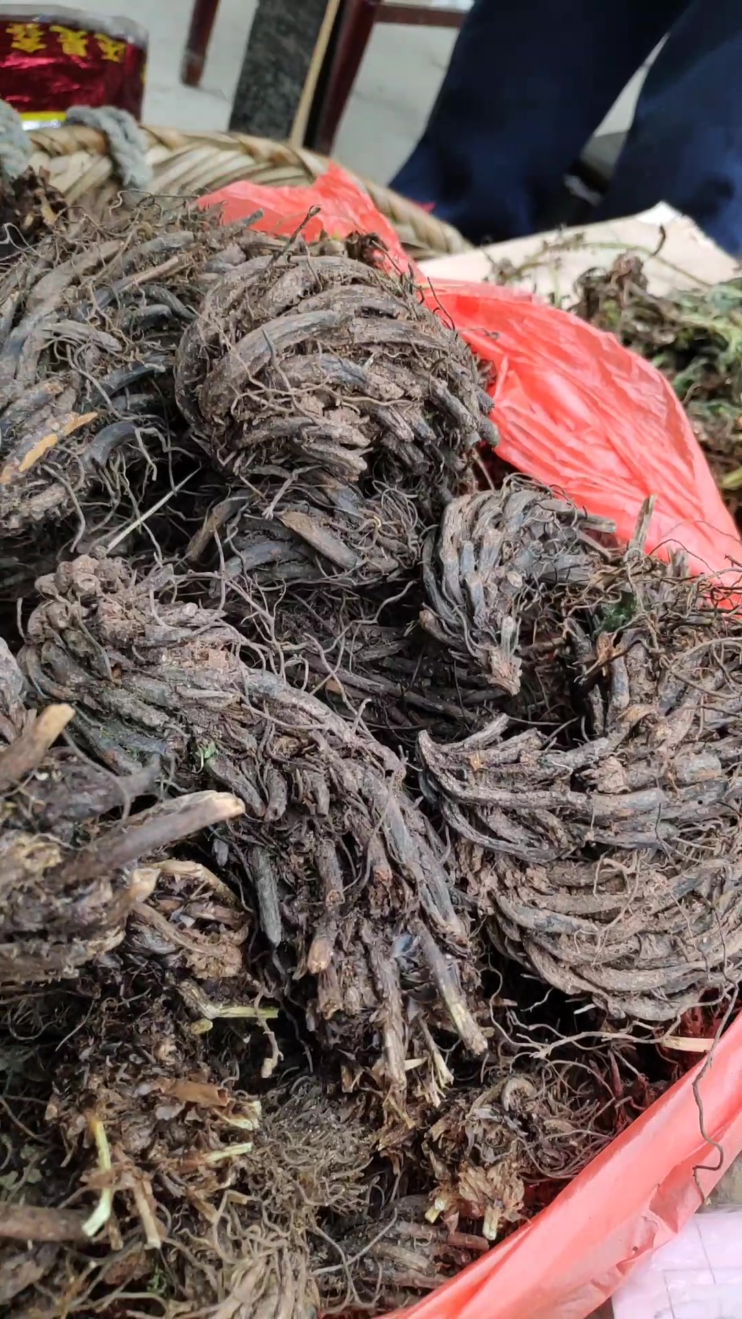 鸡脑壳?这是中药么?土医生才有