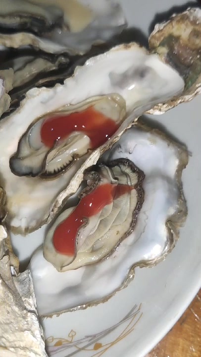 海鲜牡蛎生蚝扇贝做法清蒸红烧配沙司酱沙拉酱千岛酱美食晚餐好吃