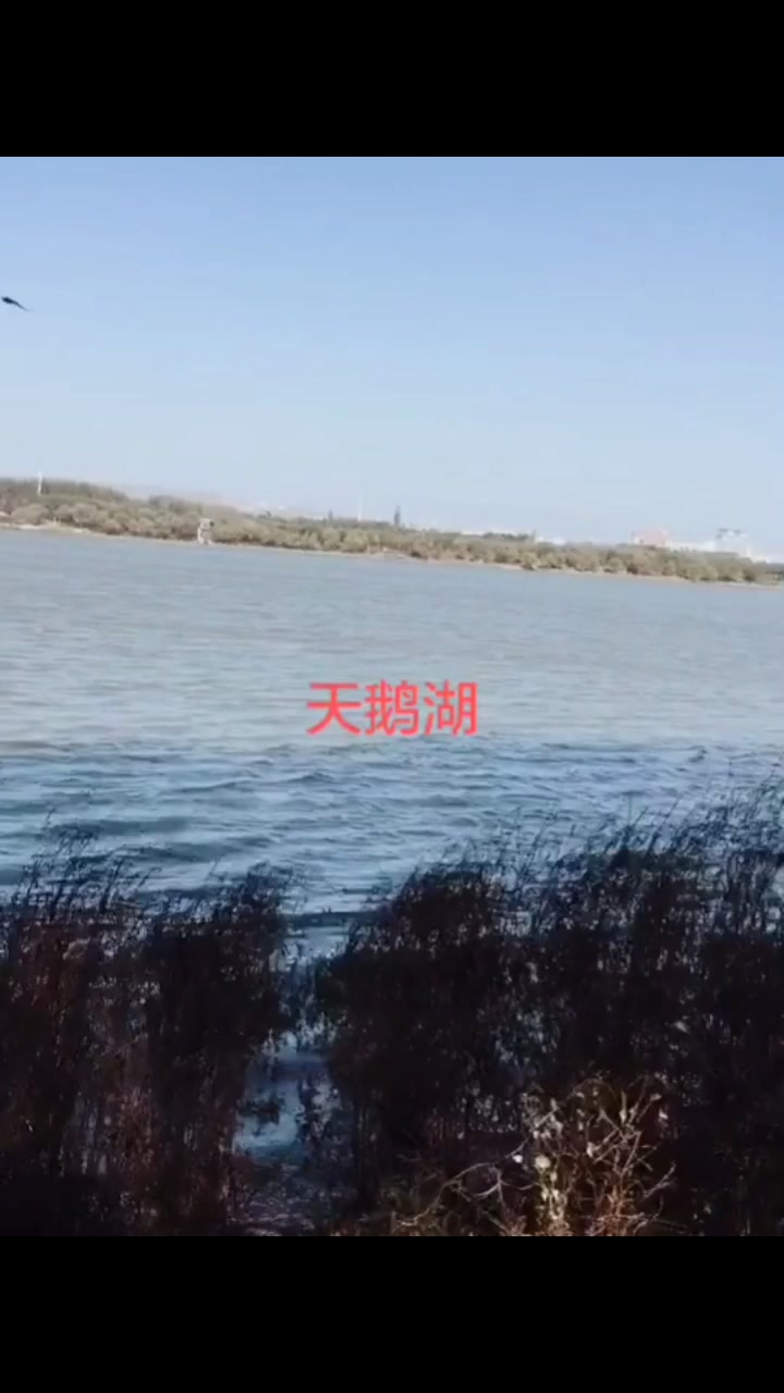三门峡 天鹅湖畔