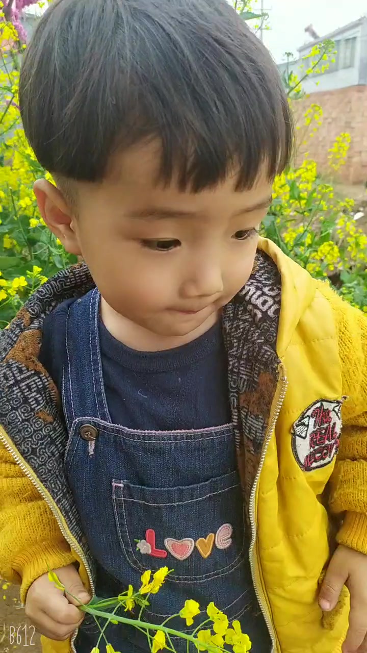 油菜花中的小男孩