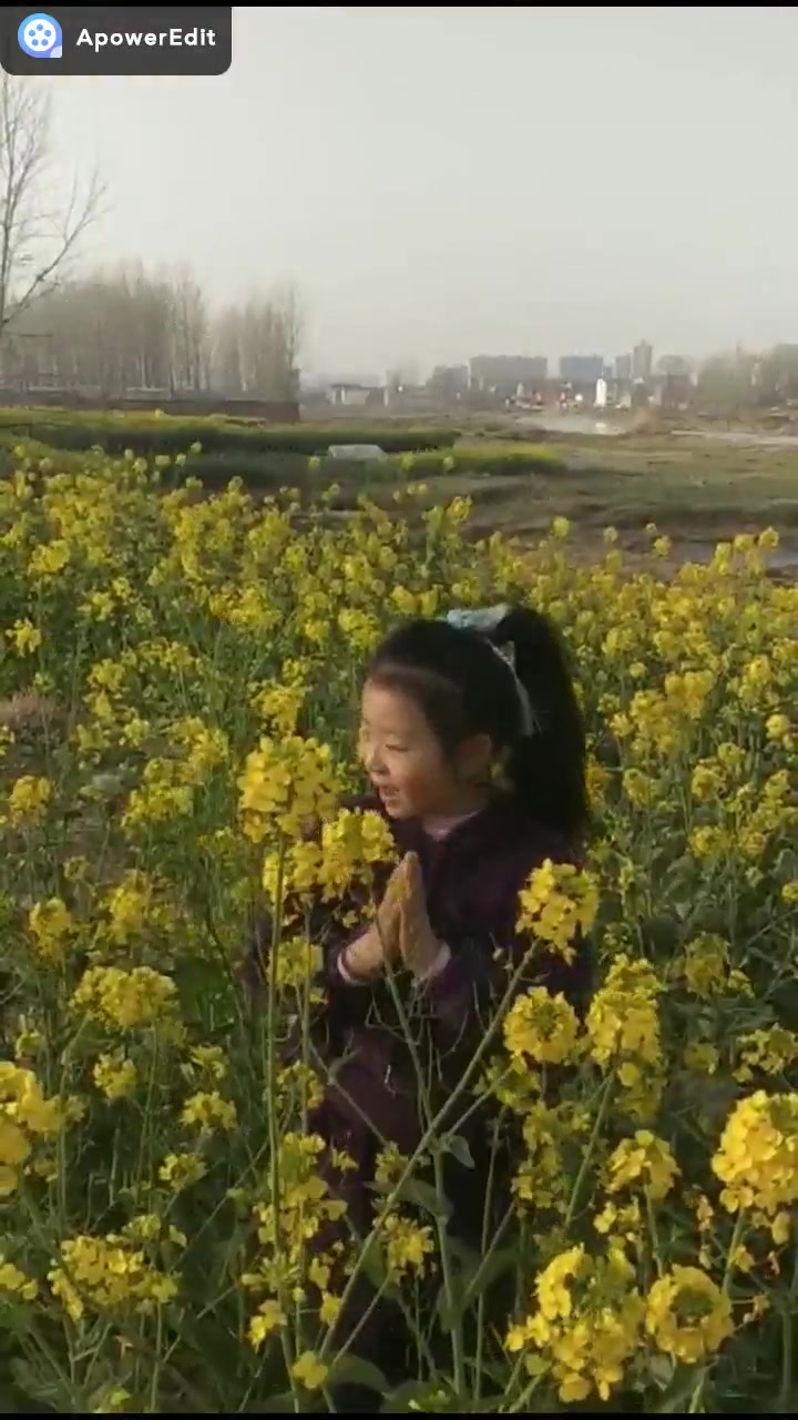 小姐姐油菜花中古诗词诵读