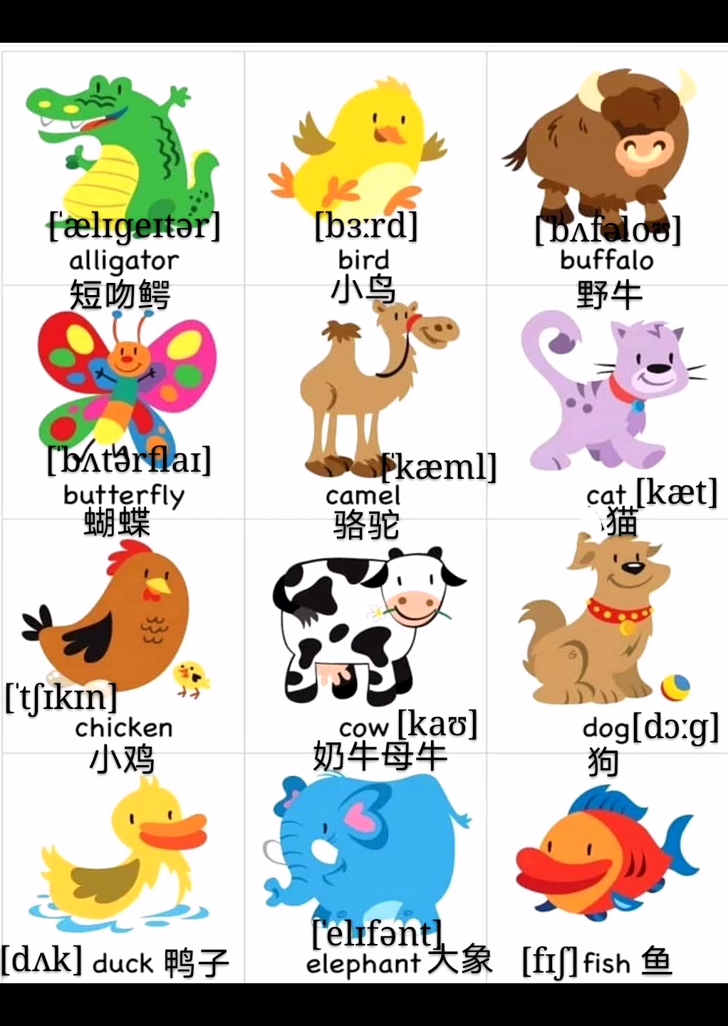 小朋友们喜欢的宠物,“鳄鱼”用英语怎么说?
