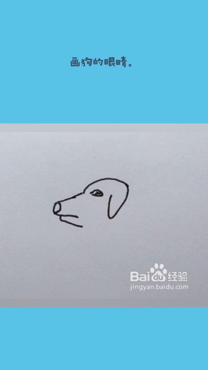 线描画:狗(画法、步骤)