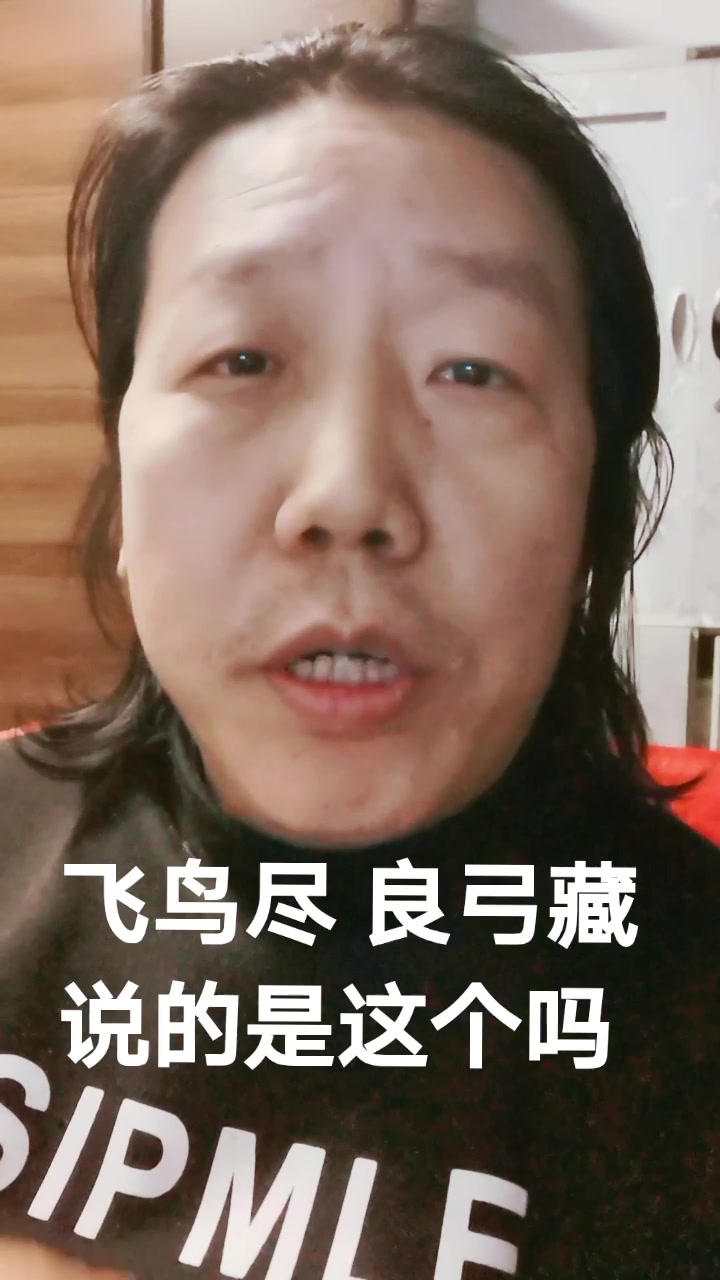 飞鸟铃 良弓藏 说的是这个吧