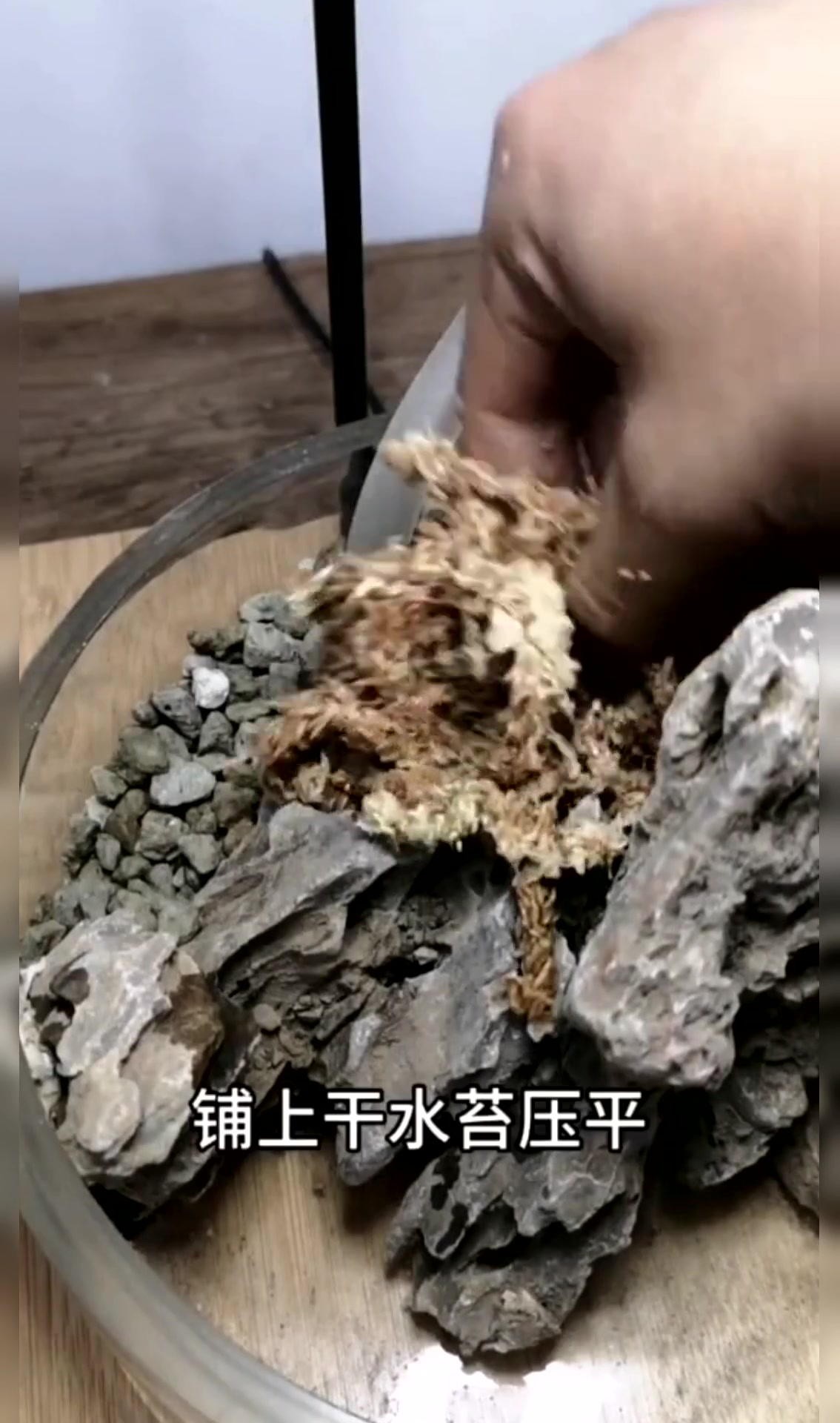 用一个玻璃晚做的微景观鱼缸,完成的那一刻,简直太漂亮了!