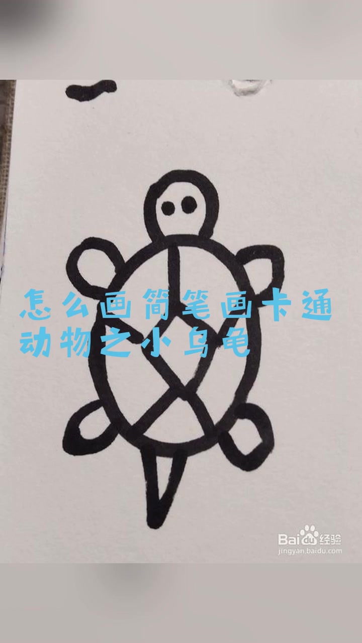 怎么画简笔画卡通动物之小乌龟
