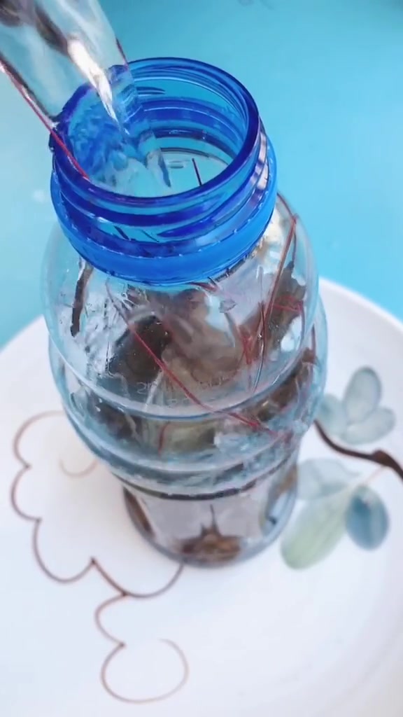 一次吃不完的鲜虾,可以用这个方法保存,简单又方便