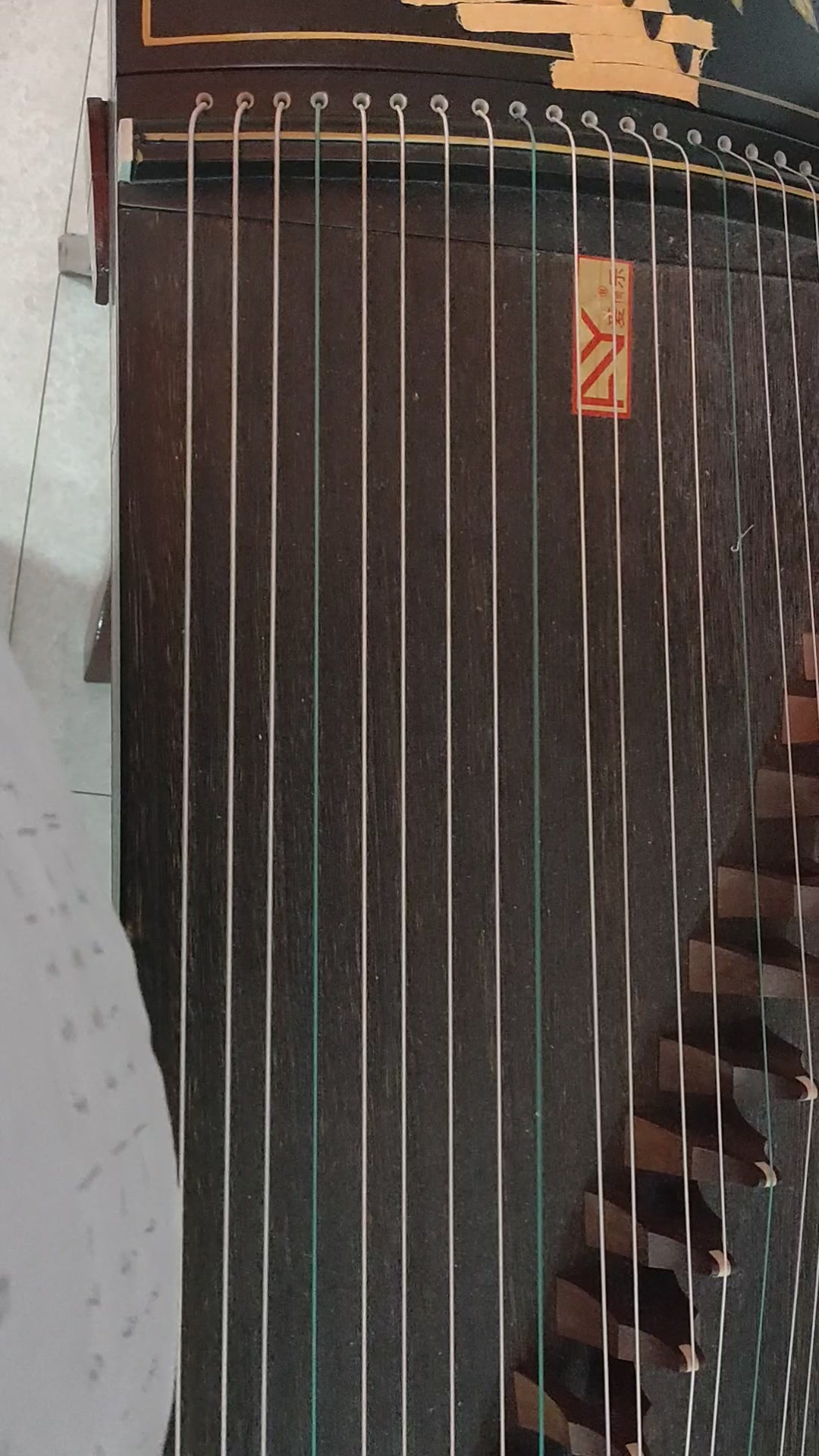 小白菜指法练习曲