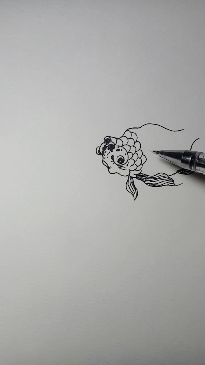 金鱼白描画法过程