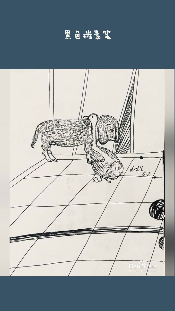 dxdll手绘之鸭子和狗