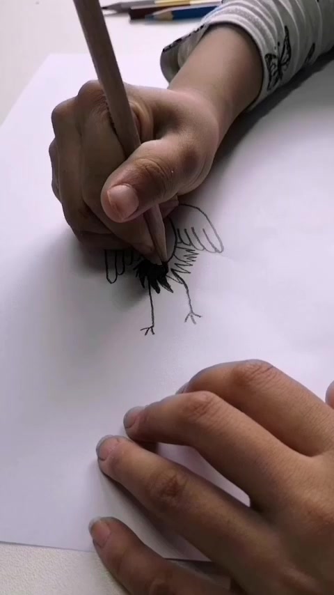 可爱动物系列,飞翔的白鹤,儿童彩铅简笔画!
