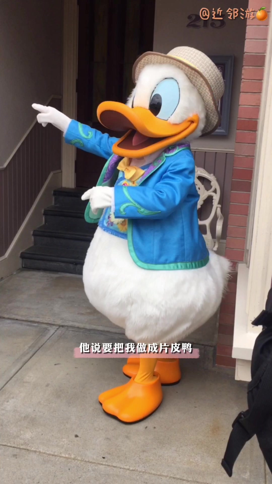 你以为唐老鸭是这样的……鸭是真的皮!