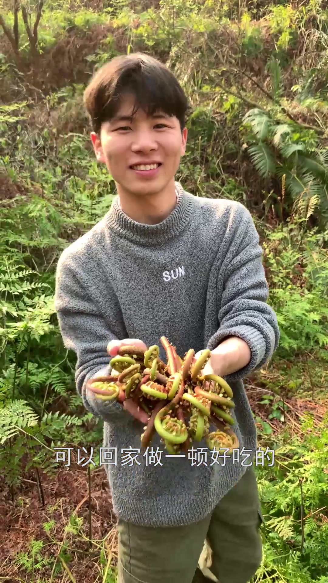 表哥说蕨菜不能吃,我跟他差点打起来!