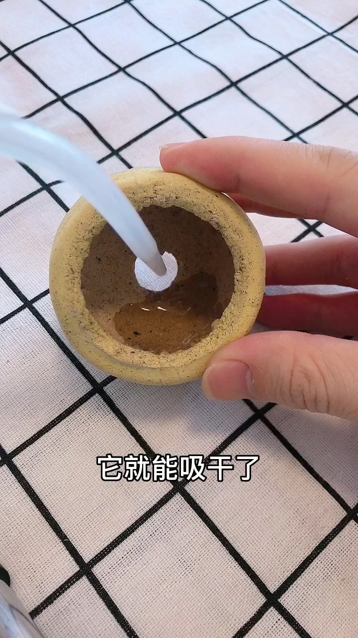 多肉盆吸水“测试”:4个不同盆,哪个更能“吸”?看看就懂了!