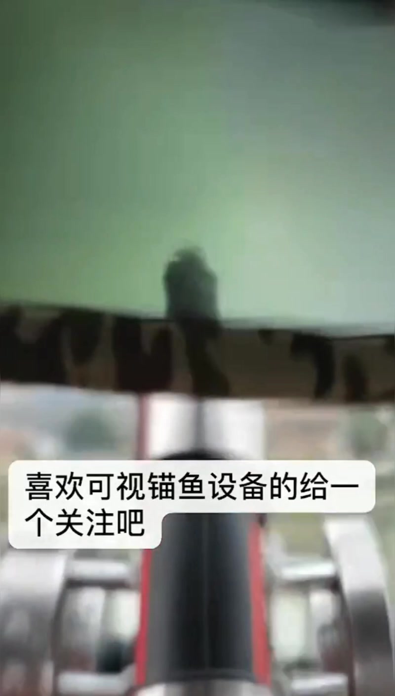 可视锚鱼装备水下探鱼器,专门钓大鱼